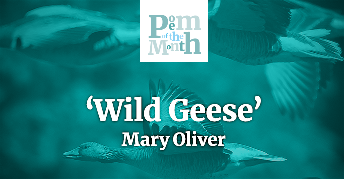 wild geese mary oliver world of books poem of the month